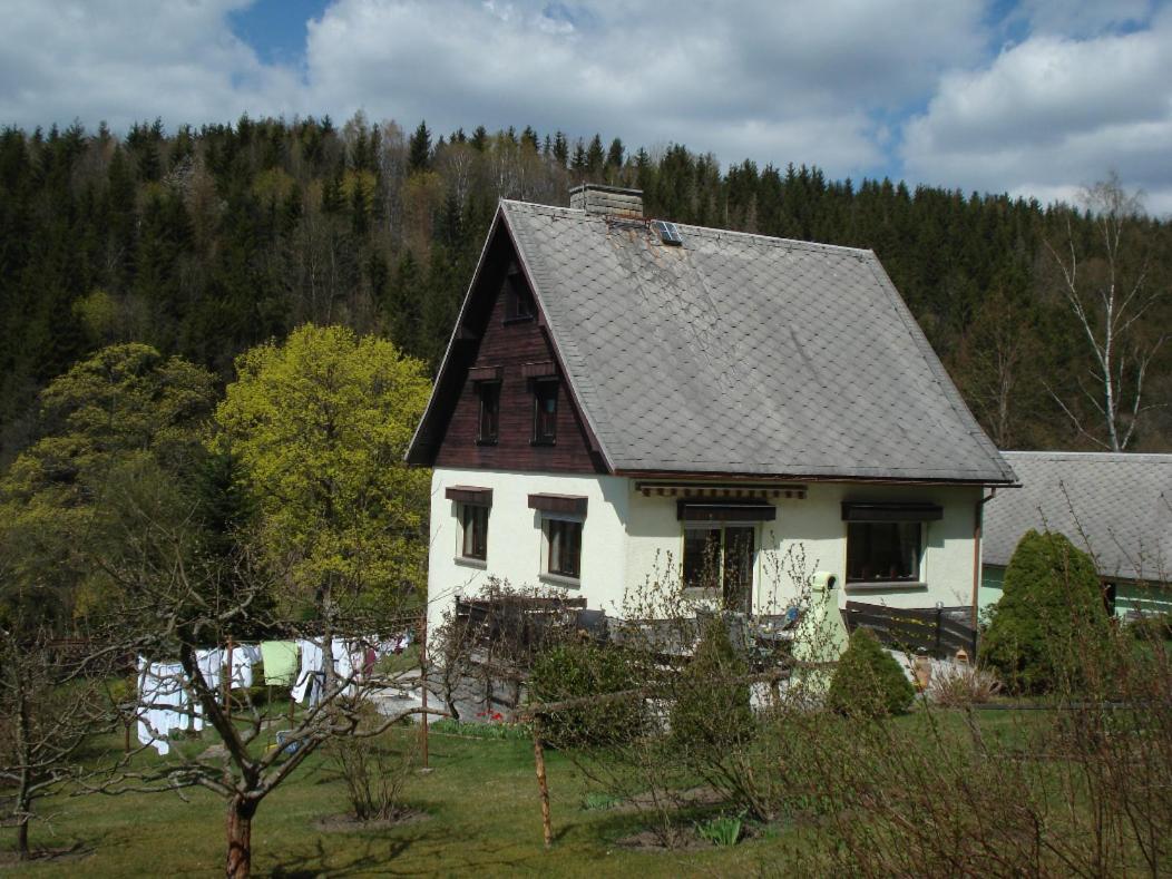 Erzgebirgsdomizil Am Schwartenberg Neuhausen  Buitenkant foto