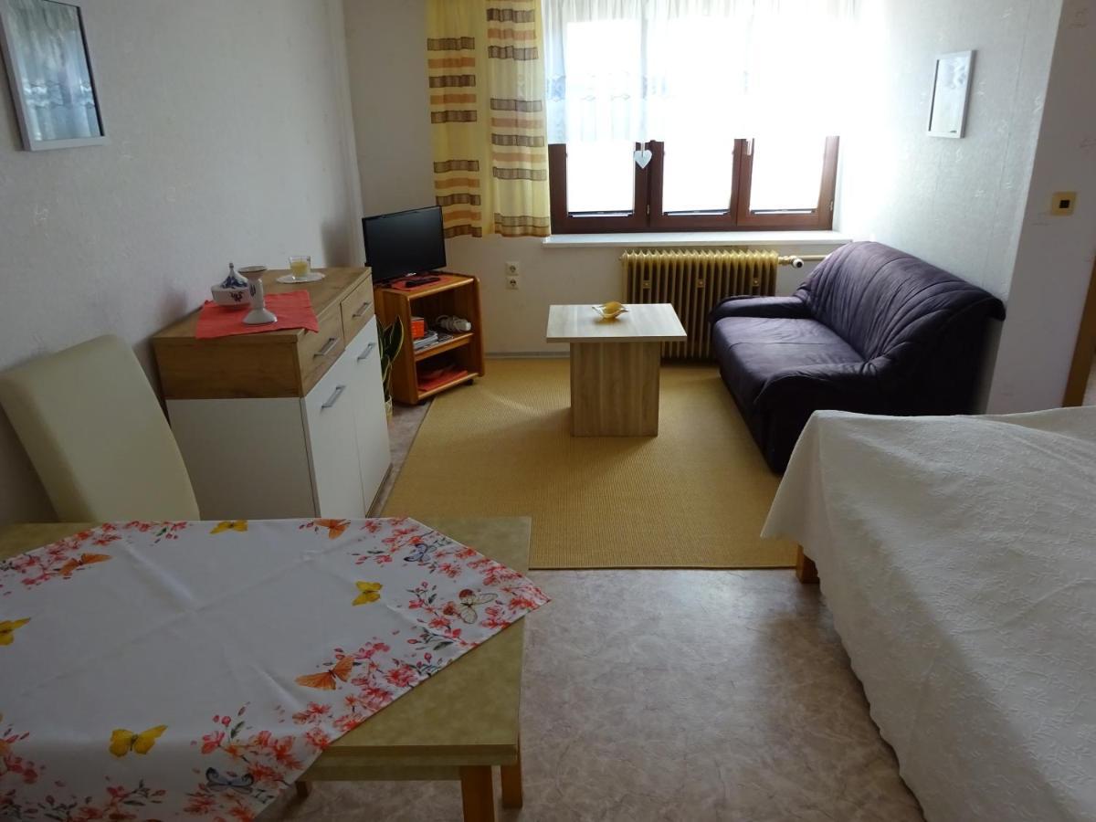 Erzgebirgsdomizil Am Schwartenberg Neuhausen  Buitenkant foto